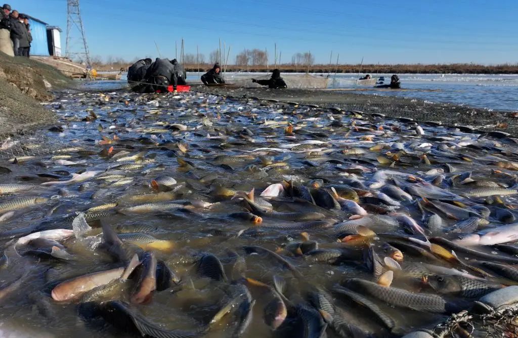 640 (1).jpg 640 (1).jpg