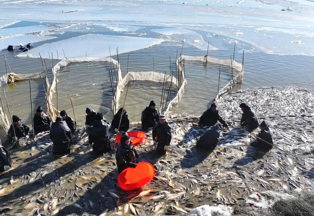 640 (4).jpg 640 (4).jpg